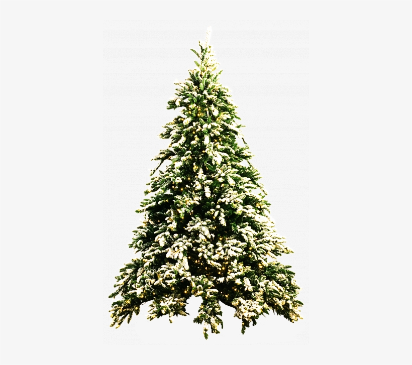 Christmas Tree Png By Dbszabo - Xmas Tree Png, transparent png