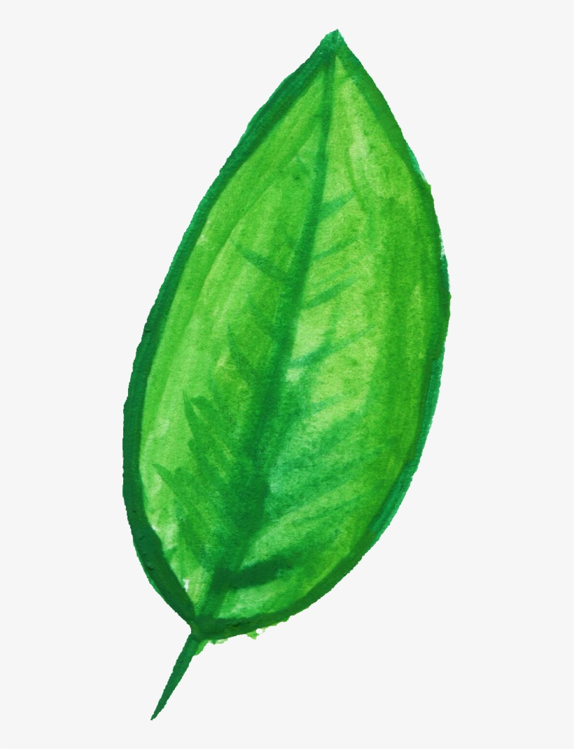 Svg Royalty Free Download Transparent Watercolours - Watermelon Watercolor Png, transparent png