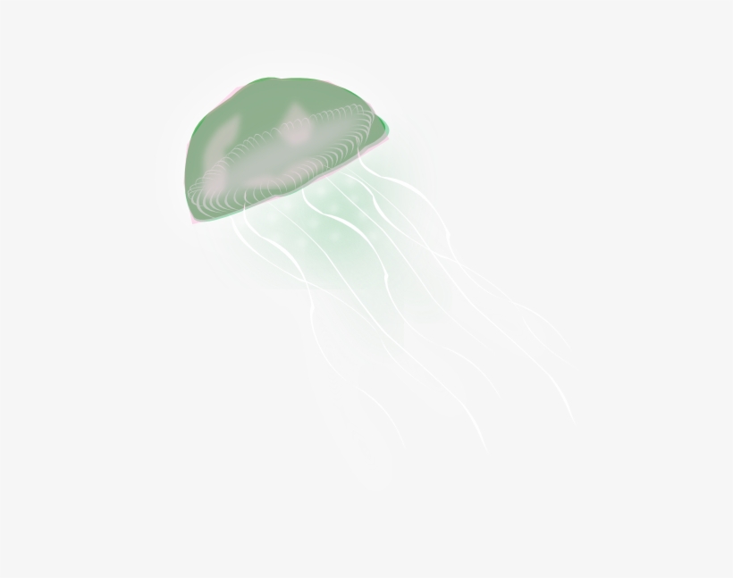 Jellyfish Clip Art At Clker - Portable Network Graphics, transparent png