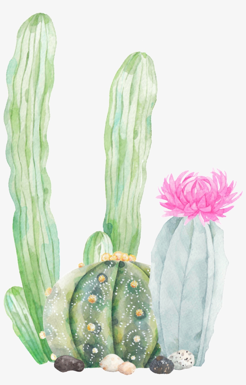 This Graphics Is Hand Painted Three Cactus Png Transparent - Cactus Png Transparent, transparent png