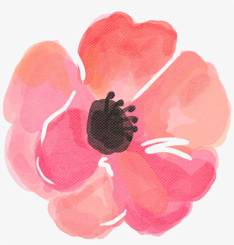 Load 4 More Imagesgrid View - Poppy, transparent png