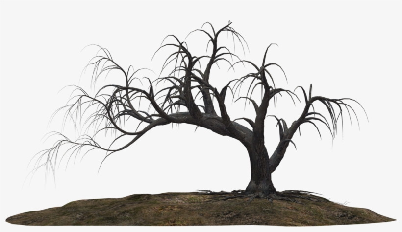 Spooky Trees Png Png Royalty Free - Creepy Trees Png, transparent png