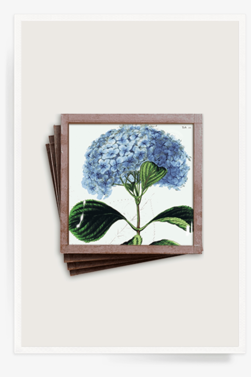 Ben's Garden - Ben's Garden Blue Hydrangea 8"x 8" Valet Glass Tray, transparent png