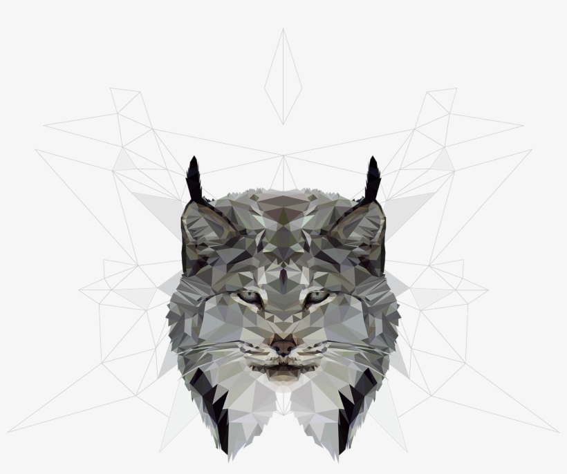 Animal - Drawing, transparent png