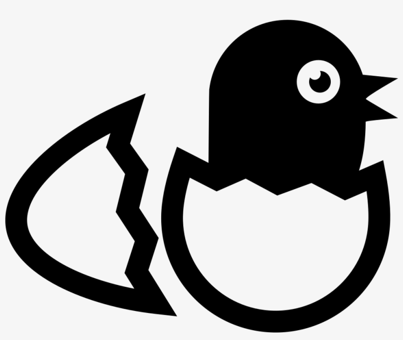 Bird In Broken Egg From Side View Comments - Se Um Ovo Se Rompe Por Uma Força Exterior, transparent png