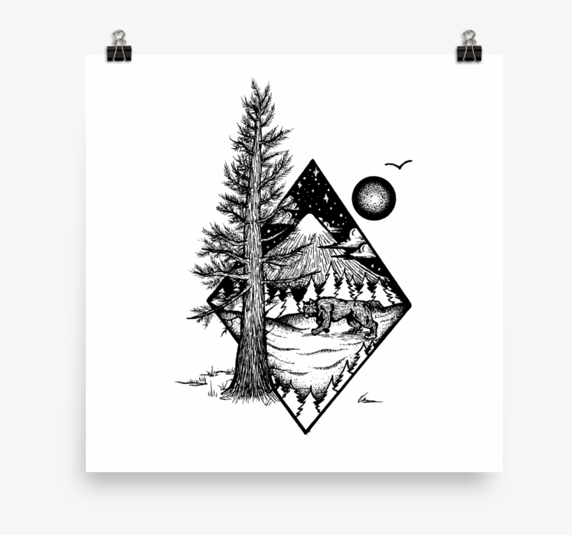 Pine And Mountain Lion, transparent png