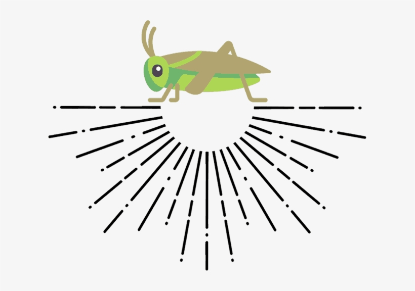 Fit Cricket - Cricket, transparent png