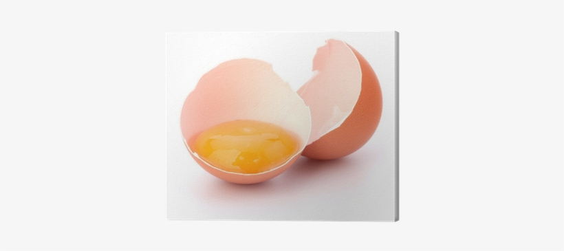 Oval, transparent png