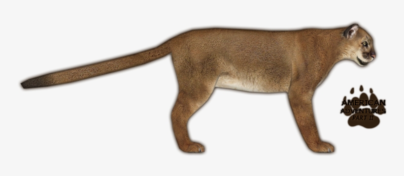 Lionmountain Jimmyzhoopz - Zoo Tycoon 2, transparent png