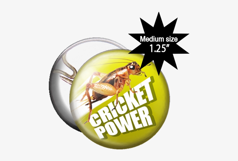Zoom - Cricket, transparent png