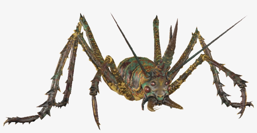Cave Cricket Piercer - Cave Crickets, transparent png