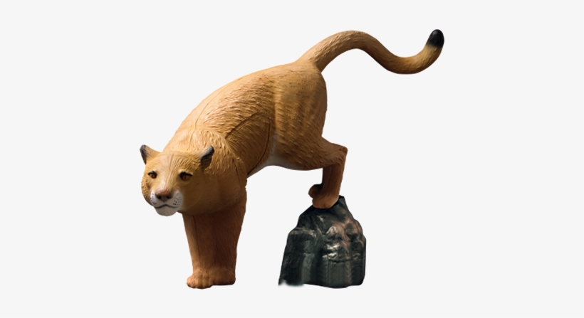 Mountain Lion W/rock - Rinehart Mountain Lion With Rock 3-d Foam Archery Target, transparent png