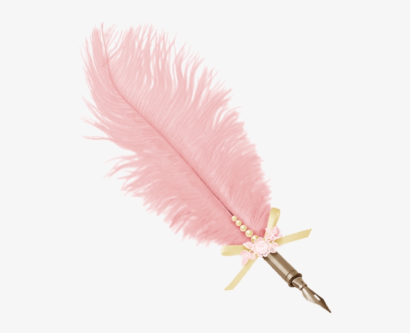 Pink Feathers Photo - Pink Feather Pen Png, transparent png