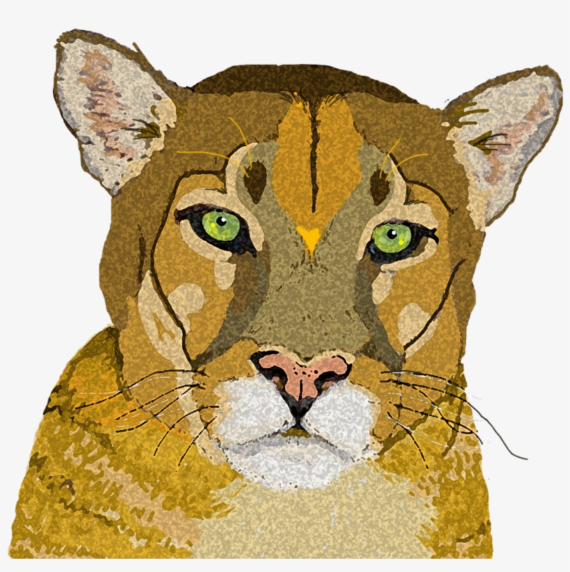 Mountain Lion 3 Copy - Cougar, transparent png