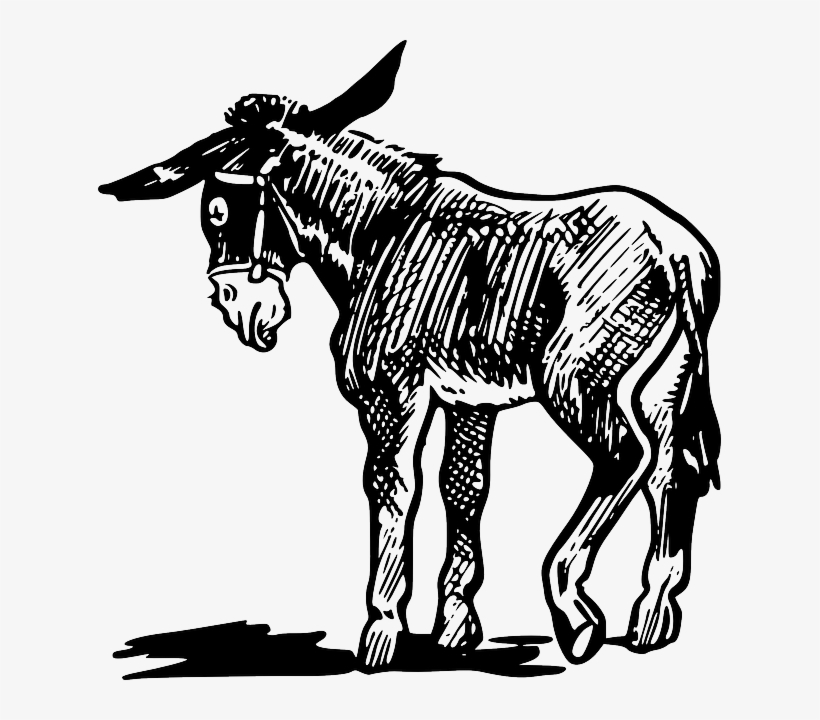 Shrek Clipart Ane - Donkey Clipart, transparent png
