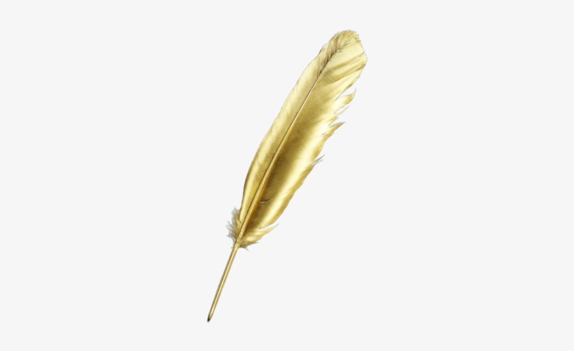 To Discuss Your Needs, Please Get In Touch, Or Call - Gold Feather Pen, transparent png