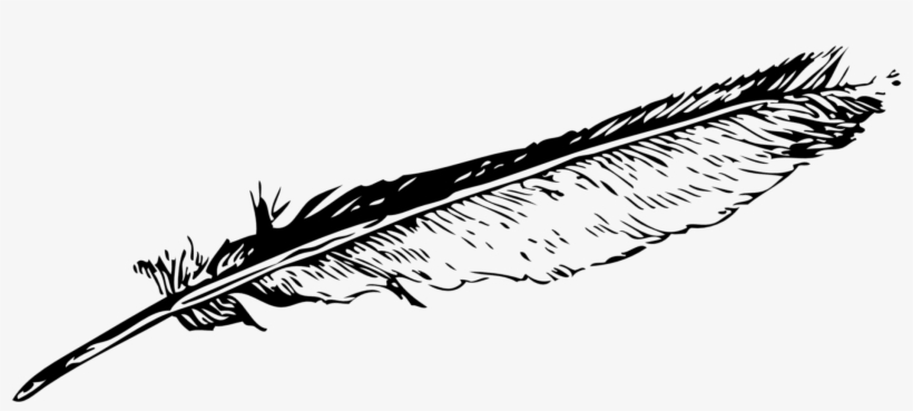 Jpg Black And White Download About Us Calligraphers - Feather Clip Art, transparent png