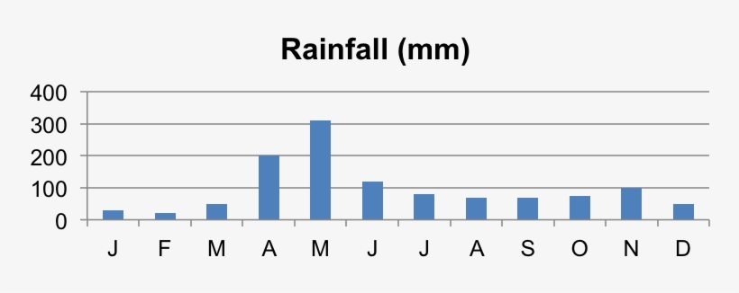 Kenya-rain - Asset, transparent png