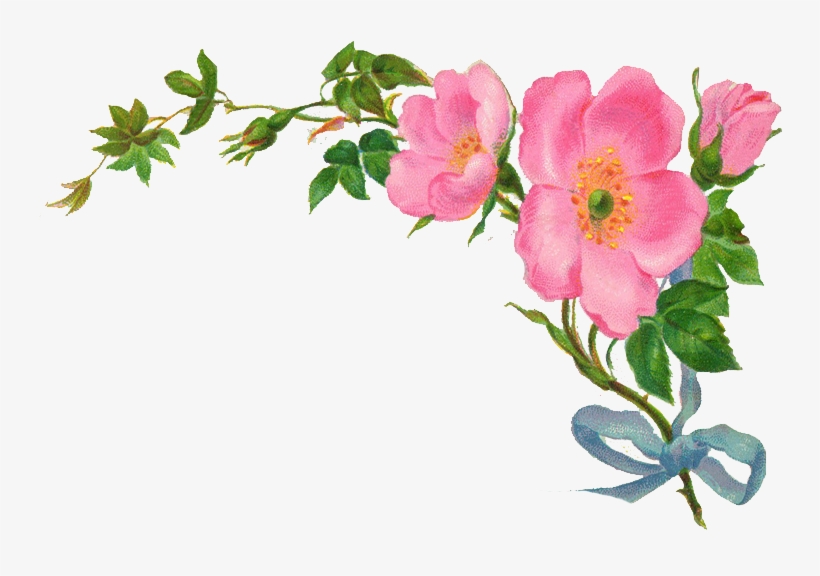Http - //syedimranrocks - Blogspot - Com - Vintage Flower Border Png, transparent png