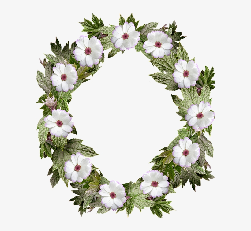 Wreath, Frame, Border, Flower, Leaf - Photograph, transparent png