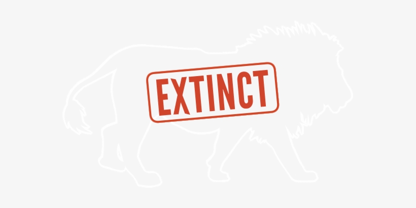 At The Current Rate, Lions Could Go Extinct By - Graphics, transparent png