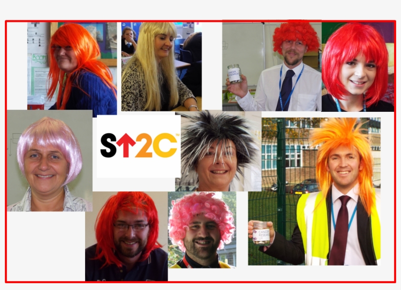 Wigs - Stand Up To Cancer, transparent png