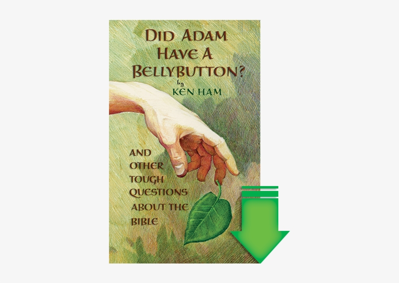Did Adam Have A Bellybutton Ebook - Did Adam Have A Belly Button By Ken Ham, transparent png