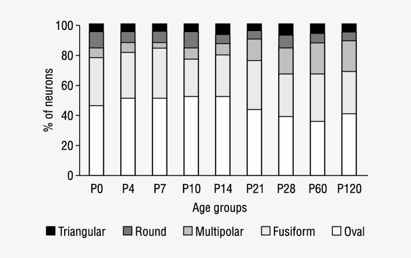 Percentage Distribution Of Variously Shaped Nos-ir - Number, transparent png