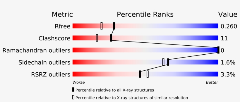 Structure Validation - Nucleic Acid Double Helix, transparent png