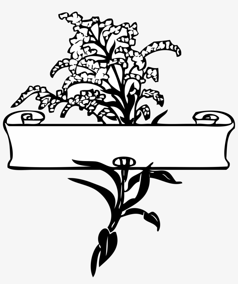 Floral Line Drawings - Scroll Clip Art, transparent png
