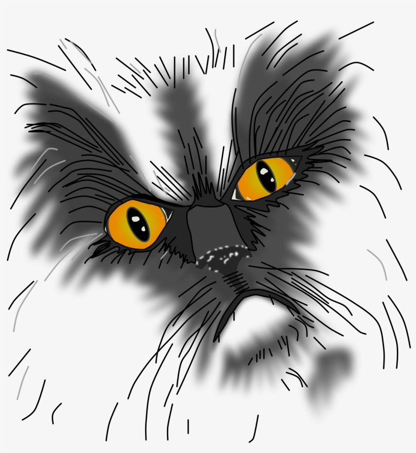 A Grumpy Cat Not All Here - Eine Mürrische Katze Nicht Alle Hier Postkarte, transparent png