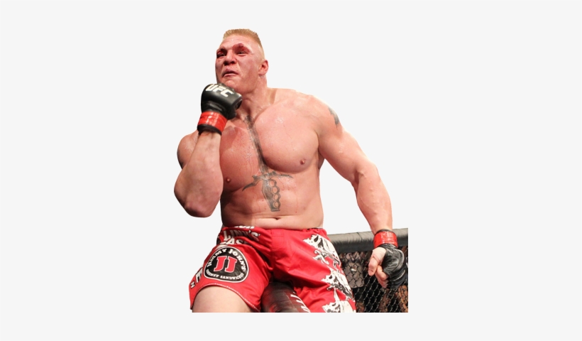 Brock Lesnar This Is A Very Controversial One Since - Brock Lesnar Ufc, transparent png