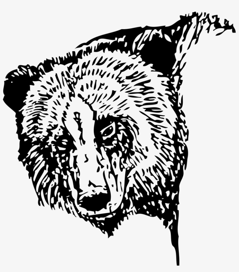 Bear Head Clipart Png For Web, transparent png