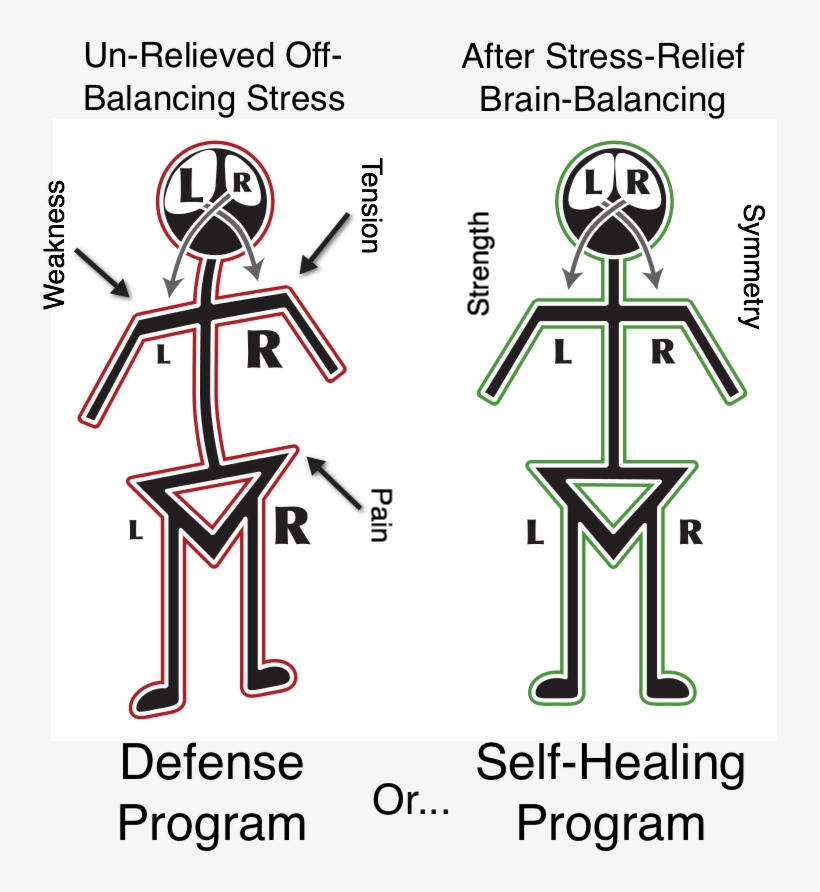 Stick Figures Mr Png Cropped With Labels - Alphabiotic, transparent png