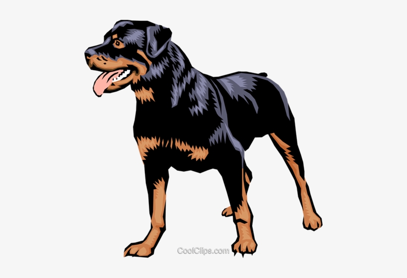 Rottweiler Royalty Free Vector Clip Art Illustration - 3drose 3drose Cute And Cuddly Canine Rottweiler - Two, transparent png