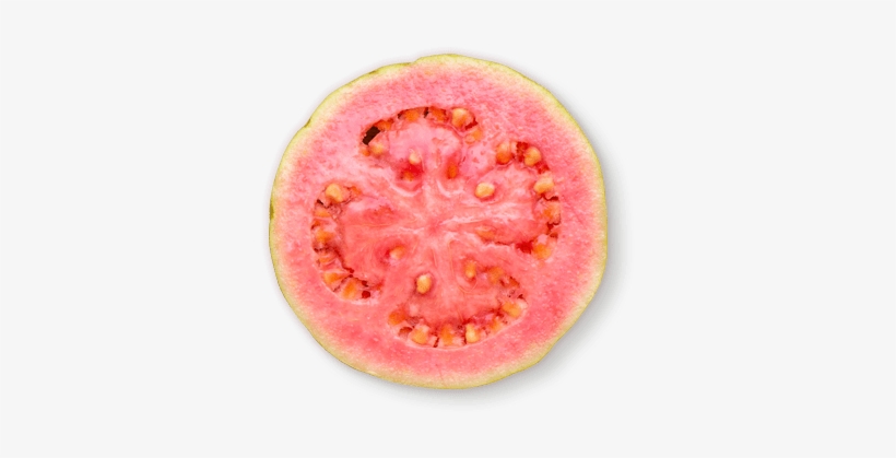 Anjelah Johnson-reyes Was Born And Raised In San Jose, - Bush Tomato, transparent png