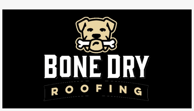 Pug, transparent png