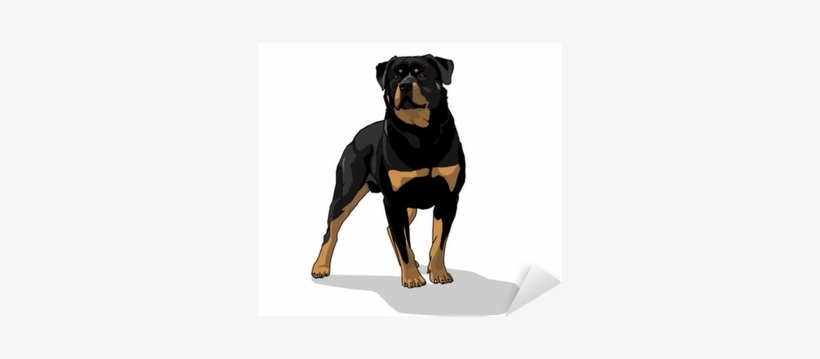 Piauí, transparent png