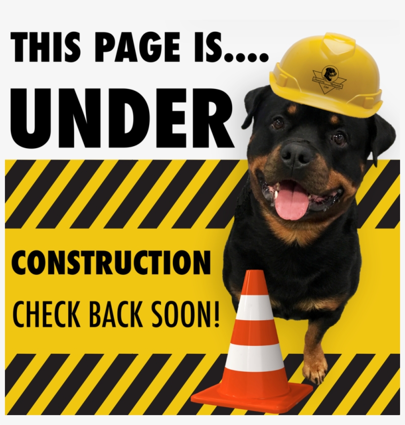 Choosing A Breeder - Rottweiler, transparent png
