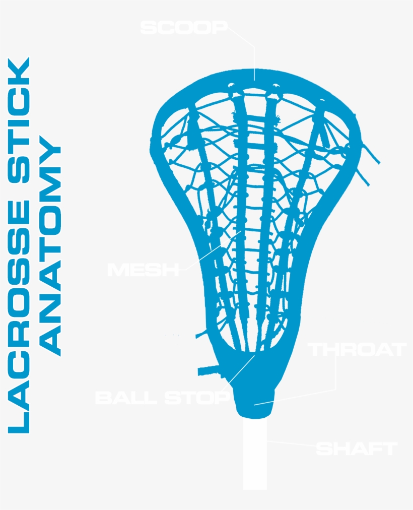 Parts Of A Lacrosse Stick - Lacrosse Stick, transparent png