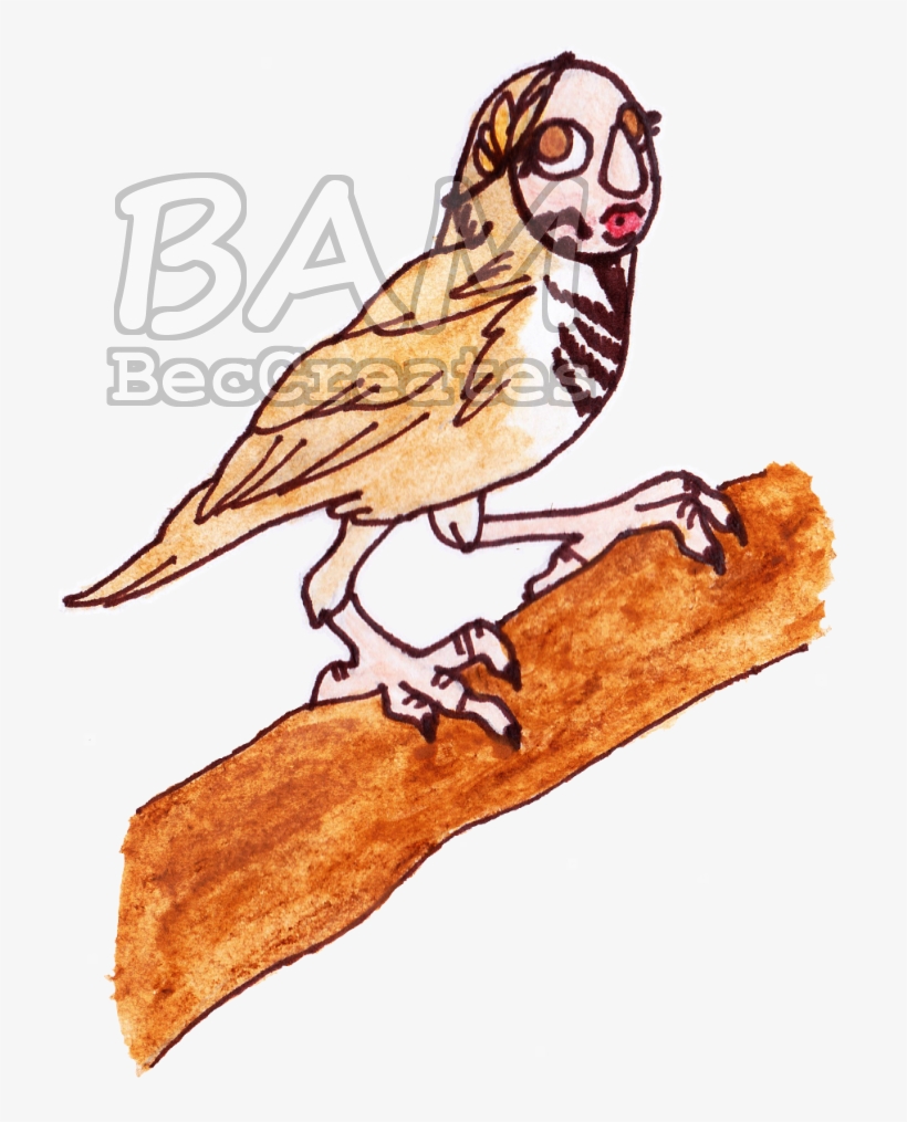 Watercolors « Older Party Siren - House Sparrow, transparent png