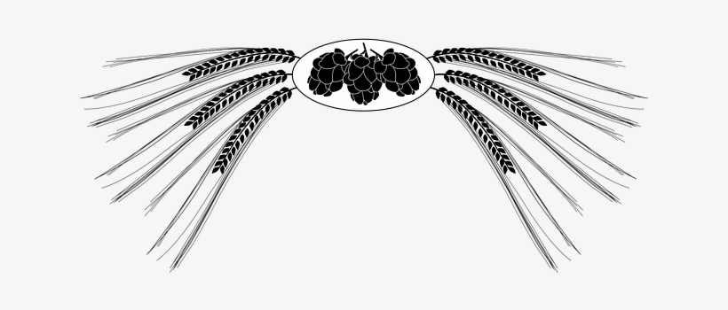 Beer List - Hops Clipart, transparent png
