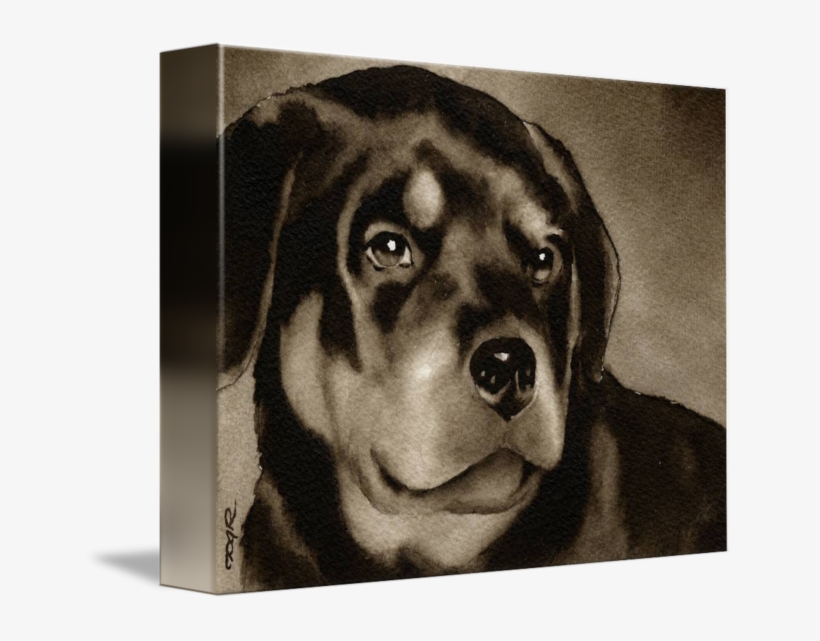 Banner Download By David Rogers - Rottweiler, transparent png