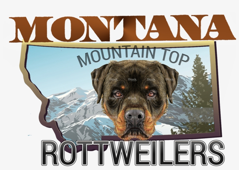 Montana Rottweiler - Women Dog Portraits Print Canvas Leather Trap Tote, transparent png