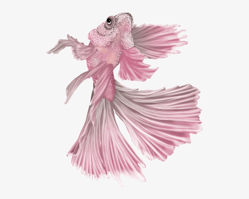 Views Album, Blog, Beauty, Yandex, Mermaids, Photoshop, - Clip Art, transparent png