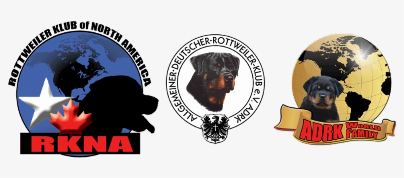 Rottweiler, transparent png