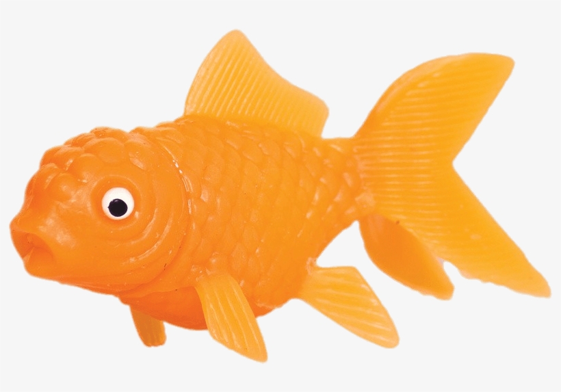 Animals - Goldfish Toys, transparent png