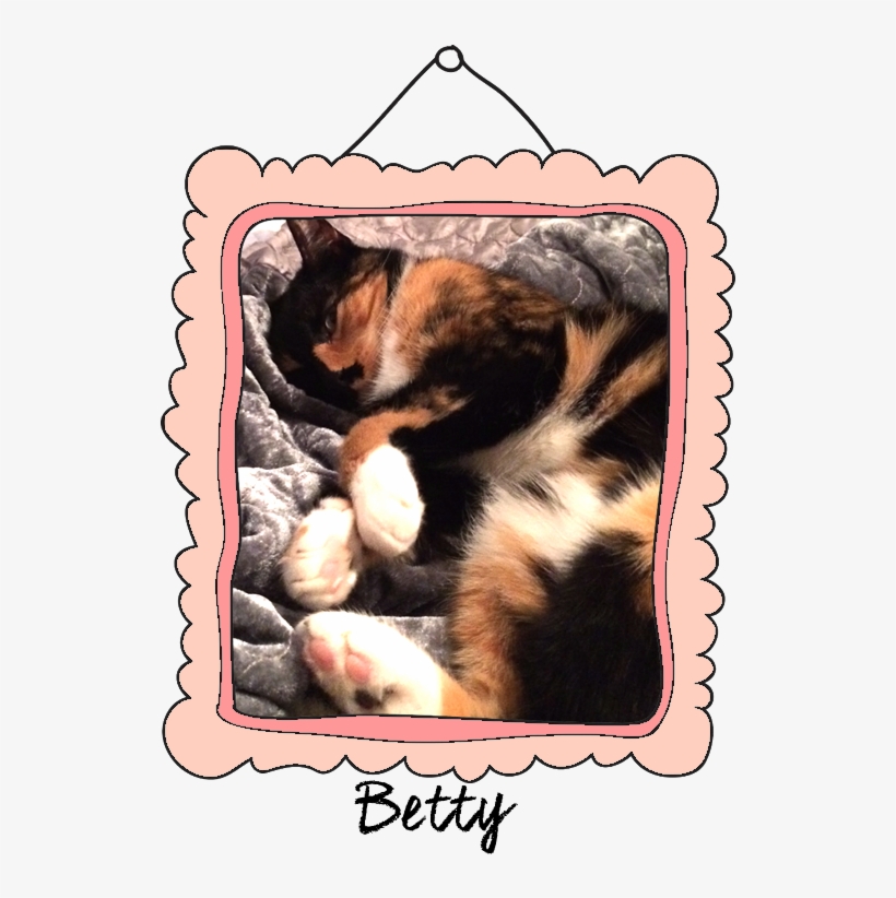 Betty Crossed The Rainbow Bridge On March 30, - Dog, transparent png