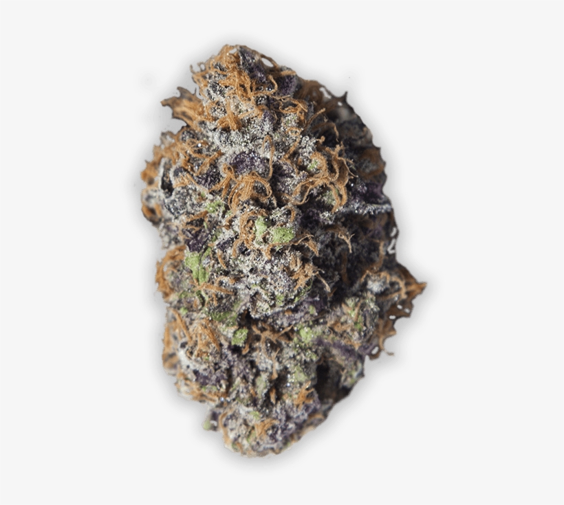 Grandaddy Purple Cannabis In Reno - Strawberry Shortcake Jungle Boys, transparent png