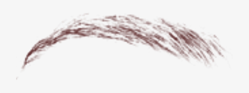 Close-up, transparent png